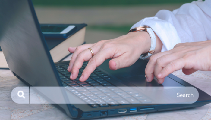 va business entity search