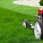 can you cut wet grass
